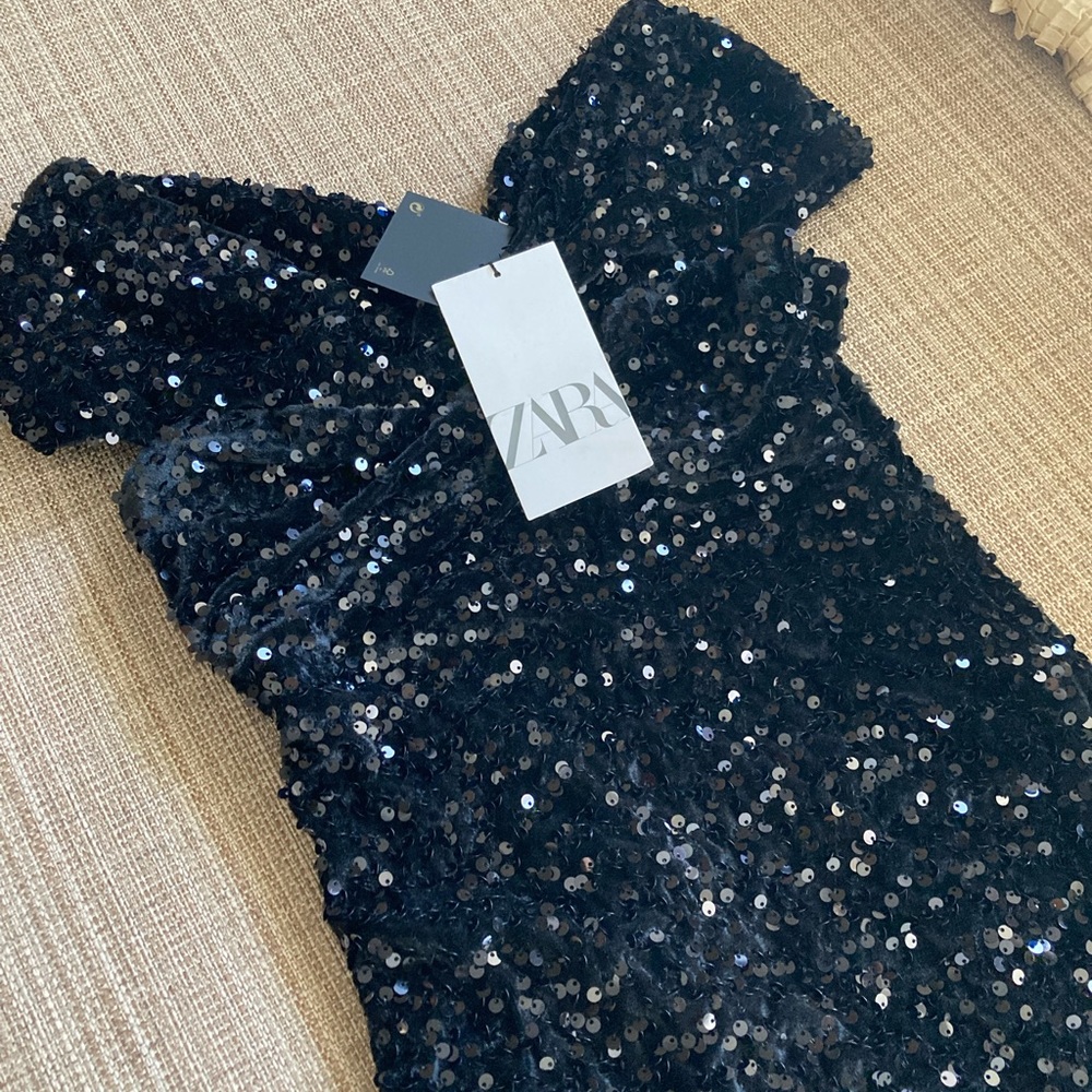 Zara Heavy Sequinned Dress - Picture 1 of 4